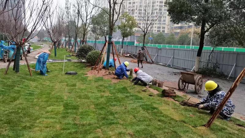 綠化工程1