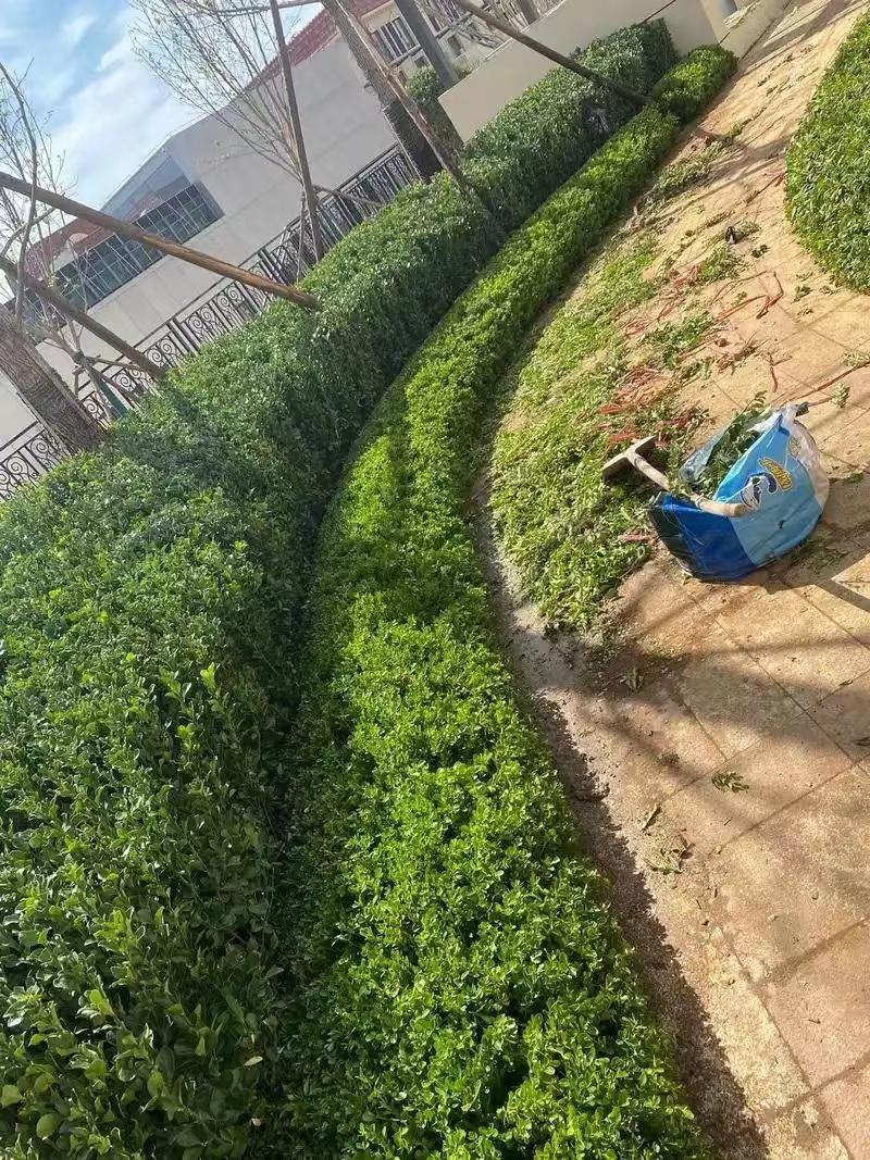 綠化工程8